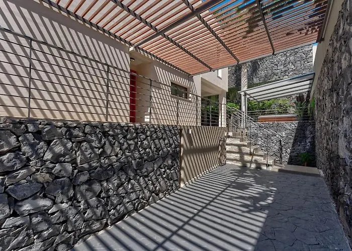 Tajinaste Адехе